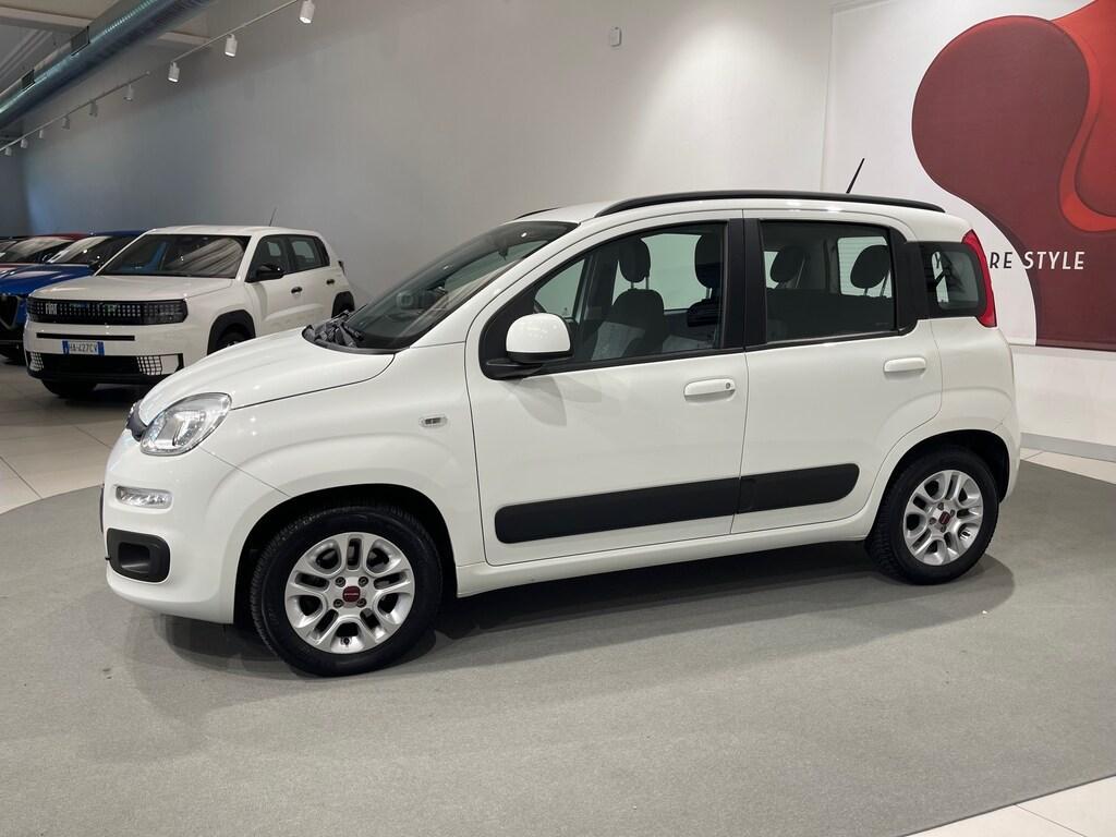Fiat Panda 1.2 Lounge easypower Gpl 69cv my19