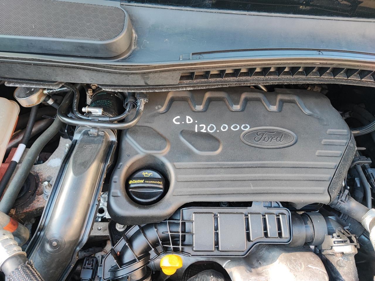 Ford Grand Tourneo Connect Gancio Traino 7 Posti