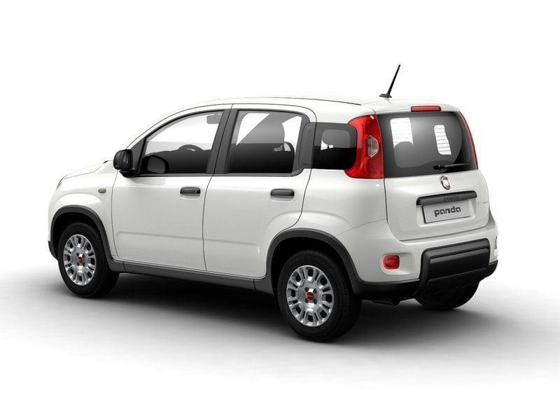 FIAT Panda NEW 1.0 70cv Hybrid Pandina