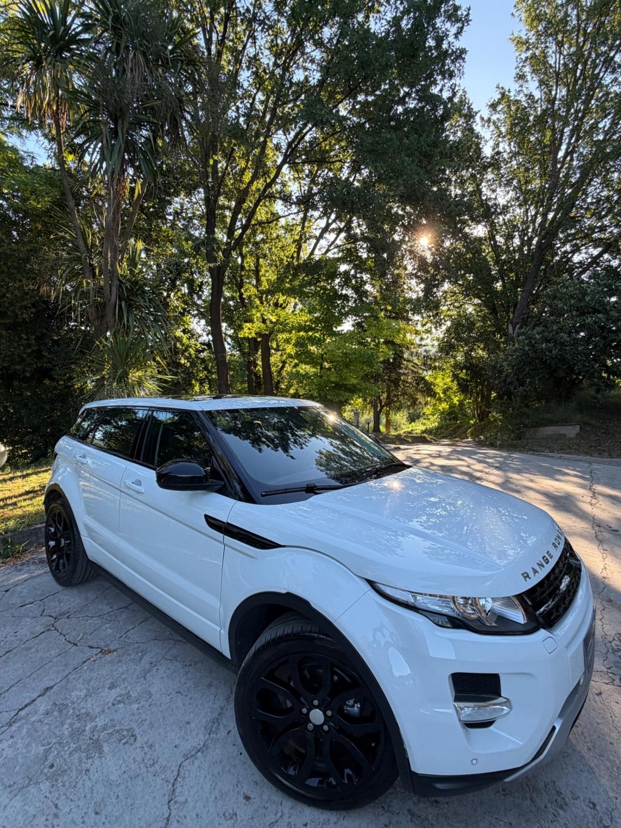Land Rover Range Evoque 2.2 Dynamic LIMITED UNIPROPRIETARIO