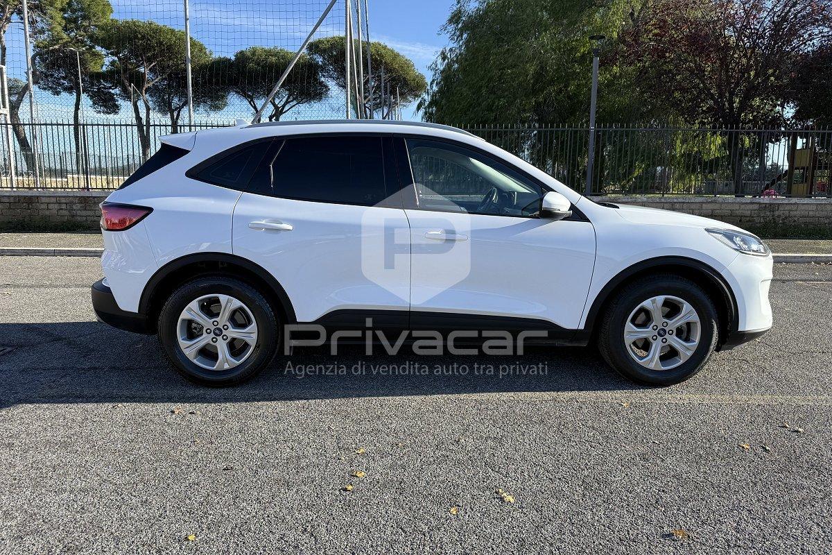 FORD Kuga 1.5 EcoBlue 120 CV 2WD Connect
