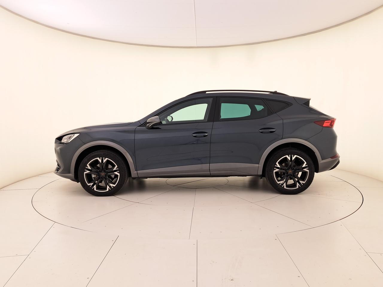 Cupra Formentor 2.0 tdi 4drive 150cv dsg
