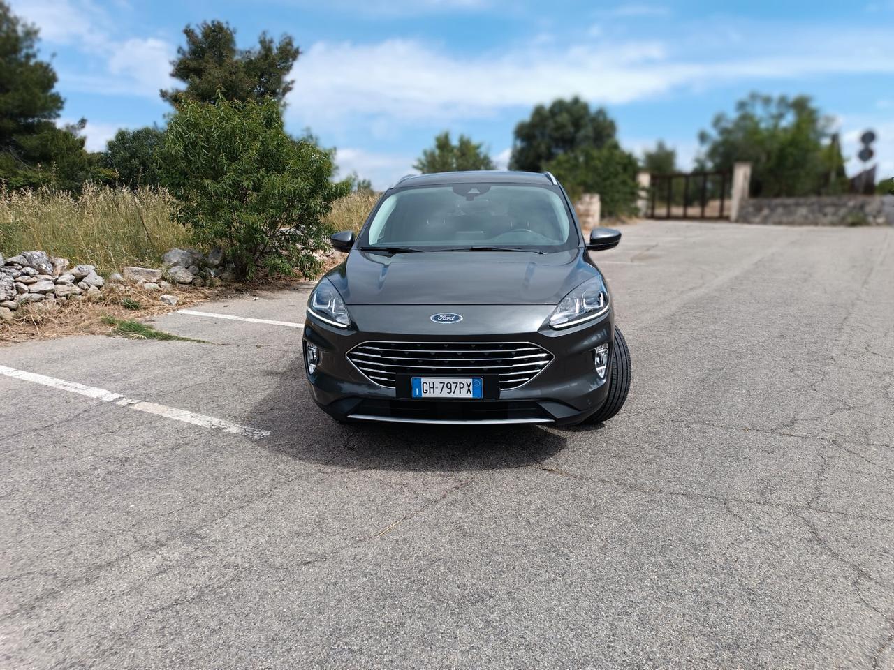 Ford Kuga 1.5 EcoBlue 120 CV aut. 2WD Titanium Business