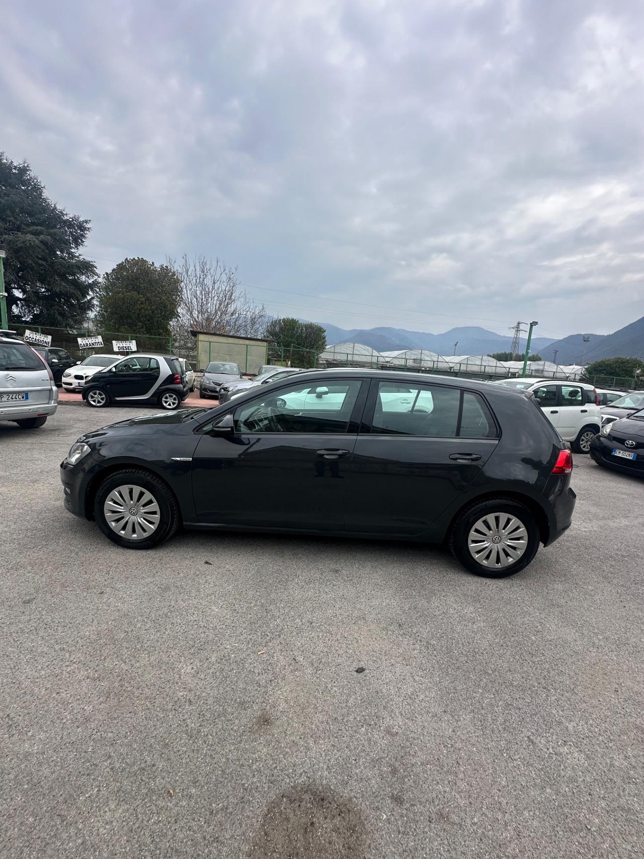 Volkswagen Golf GTI 1.4 TGI 5p. Comfortline BlueMotion