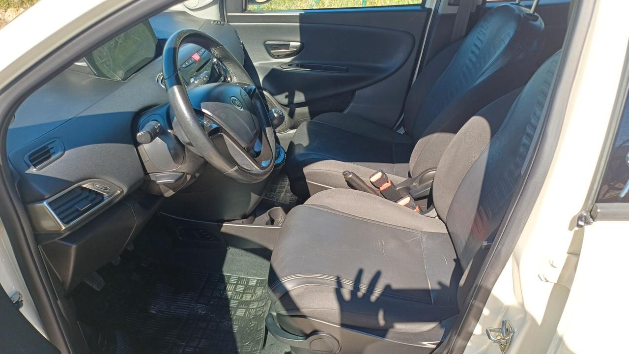 Lancia Ypsilon 1.3 MJT 16V 95 CV 5 porte S&S Platinum