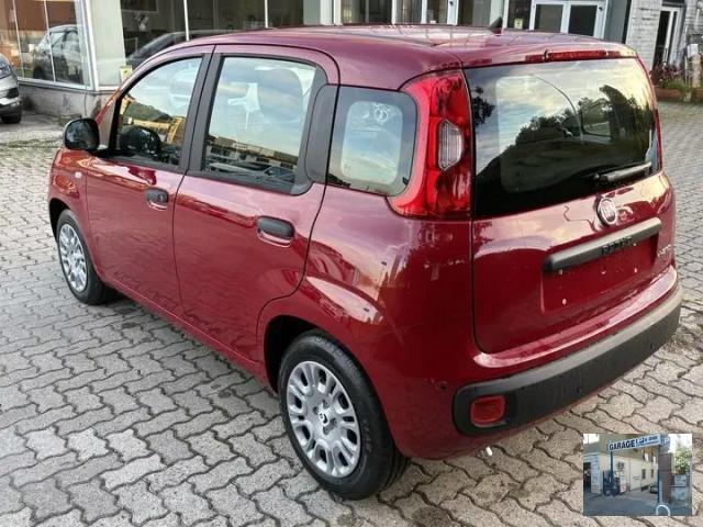 FIAT - Panda - 1.0 FireFly S&S Hybrid Launch Ed.