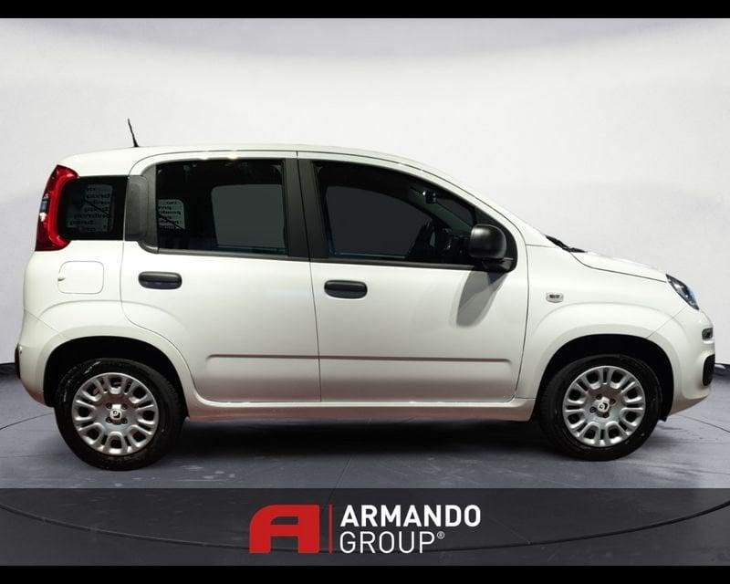 FIAT Panda 3ª serie 1.0 FireFly S&S Hybrid Icon