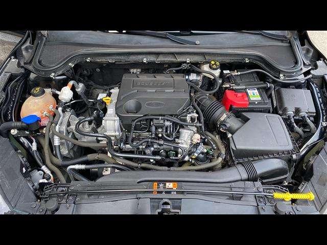 Ford Focus 5 Porte 1.0 EcoBoost 125cv ST-Line Co-pilot