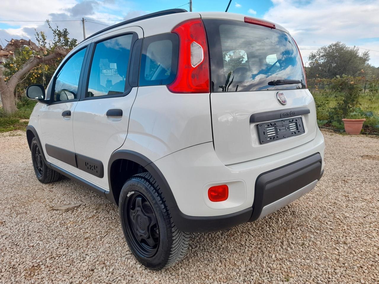 Fiat Panda 0.9 TwinAir Turbo S&S 4x4 anno 2019