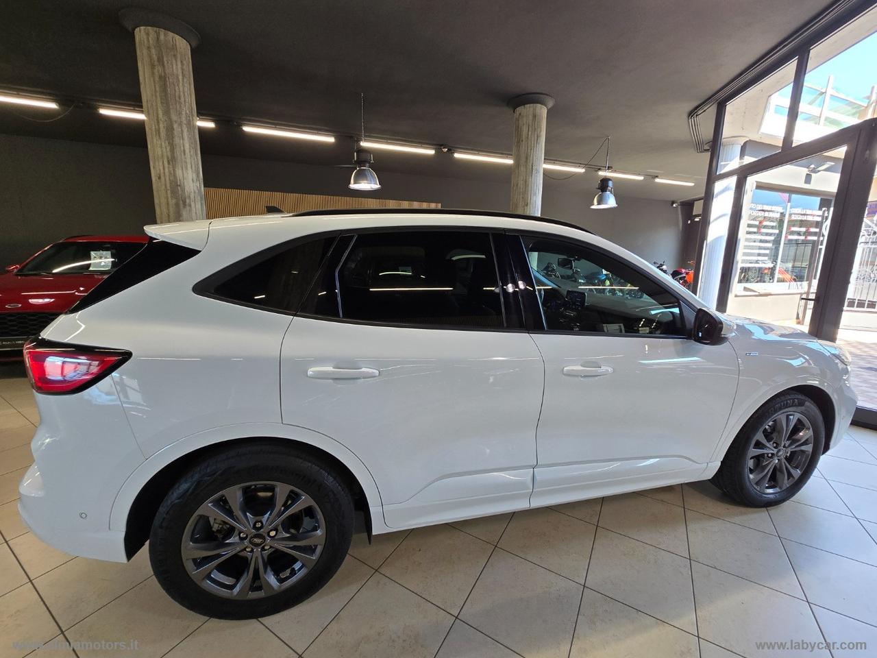 FORD Kuga 2.0 EcoBlue Hybrid 150CV 2WD ST-L.