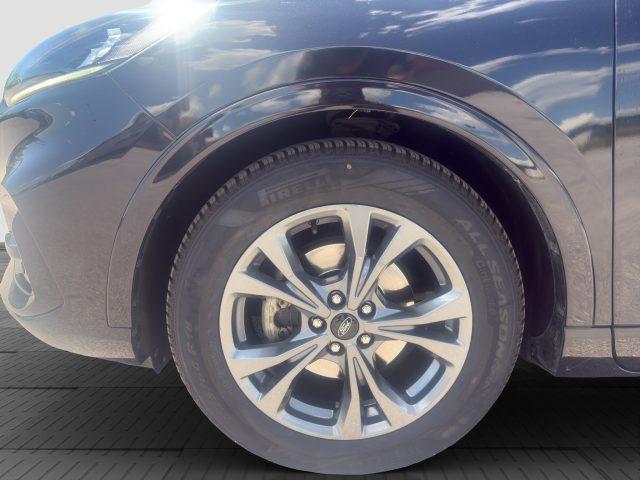 FORD Kuga Kuga 2.0 EcoBlue Hybrid 150 CV 2WD ST-Line