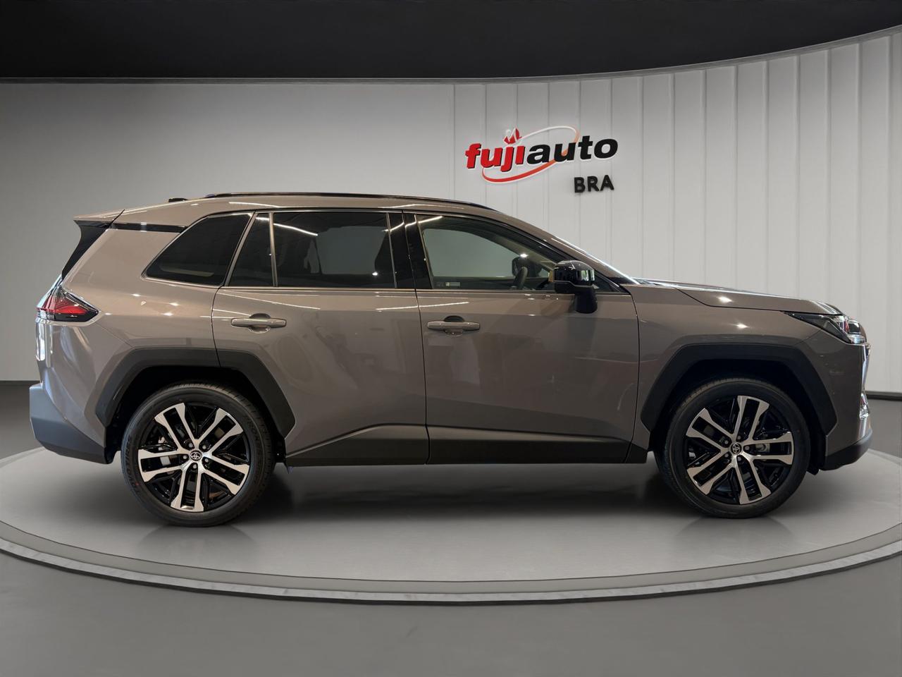 Toyota Rav4 2.5 hybrid Premium e-cvt