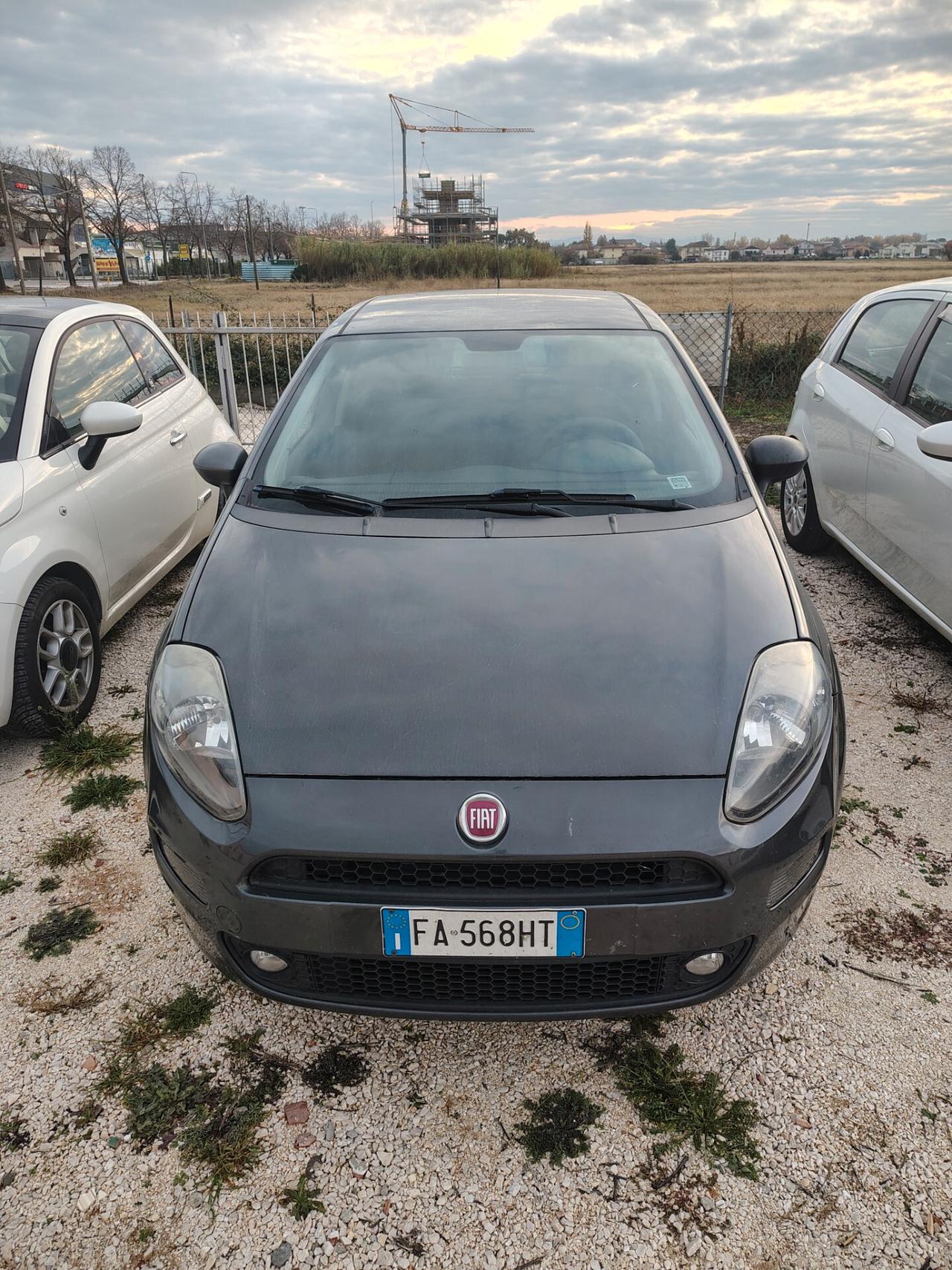 Fiat Punto 1.4 8V 5 porte Easypower Young