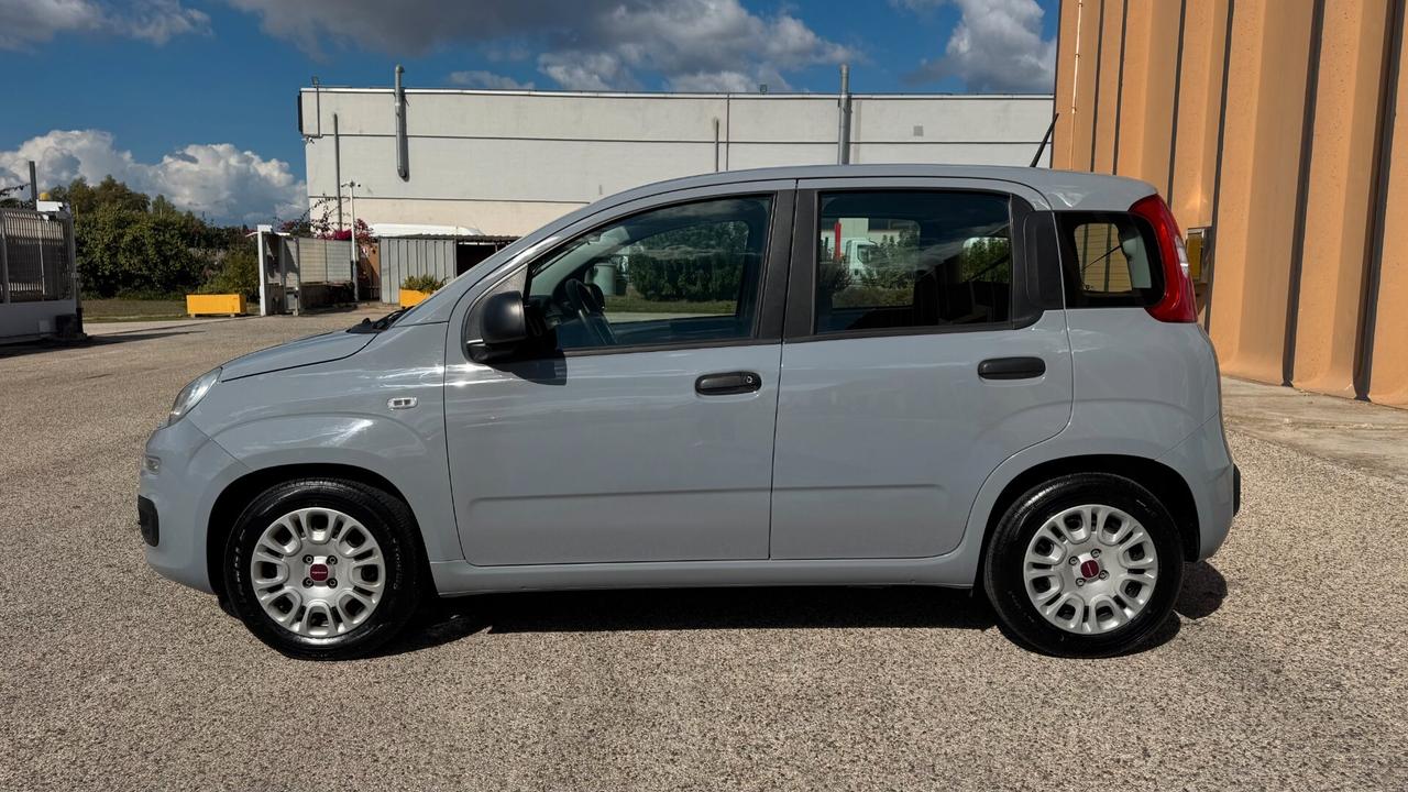 Fiat Panda 1.0 69CV- 2021