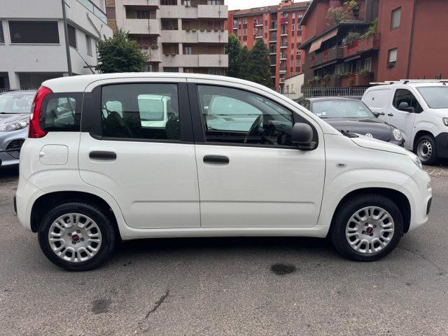 FIAT Panda 1.2 Easy (AUTOCARRO N1 4 POSTI)