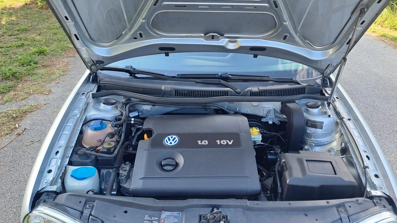 Volkswagen Golf special Ben tenuta
