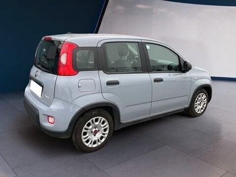 Fiat Panda Hybrid FireFly1.0 S&S 70cv