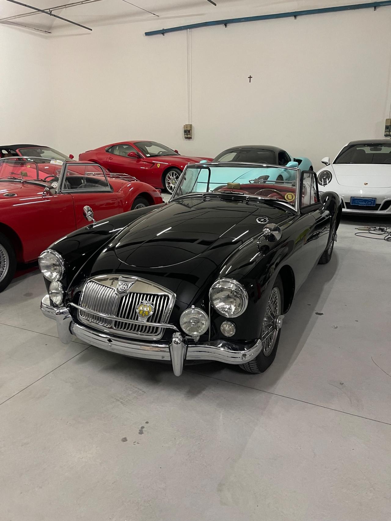 Mg MGA