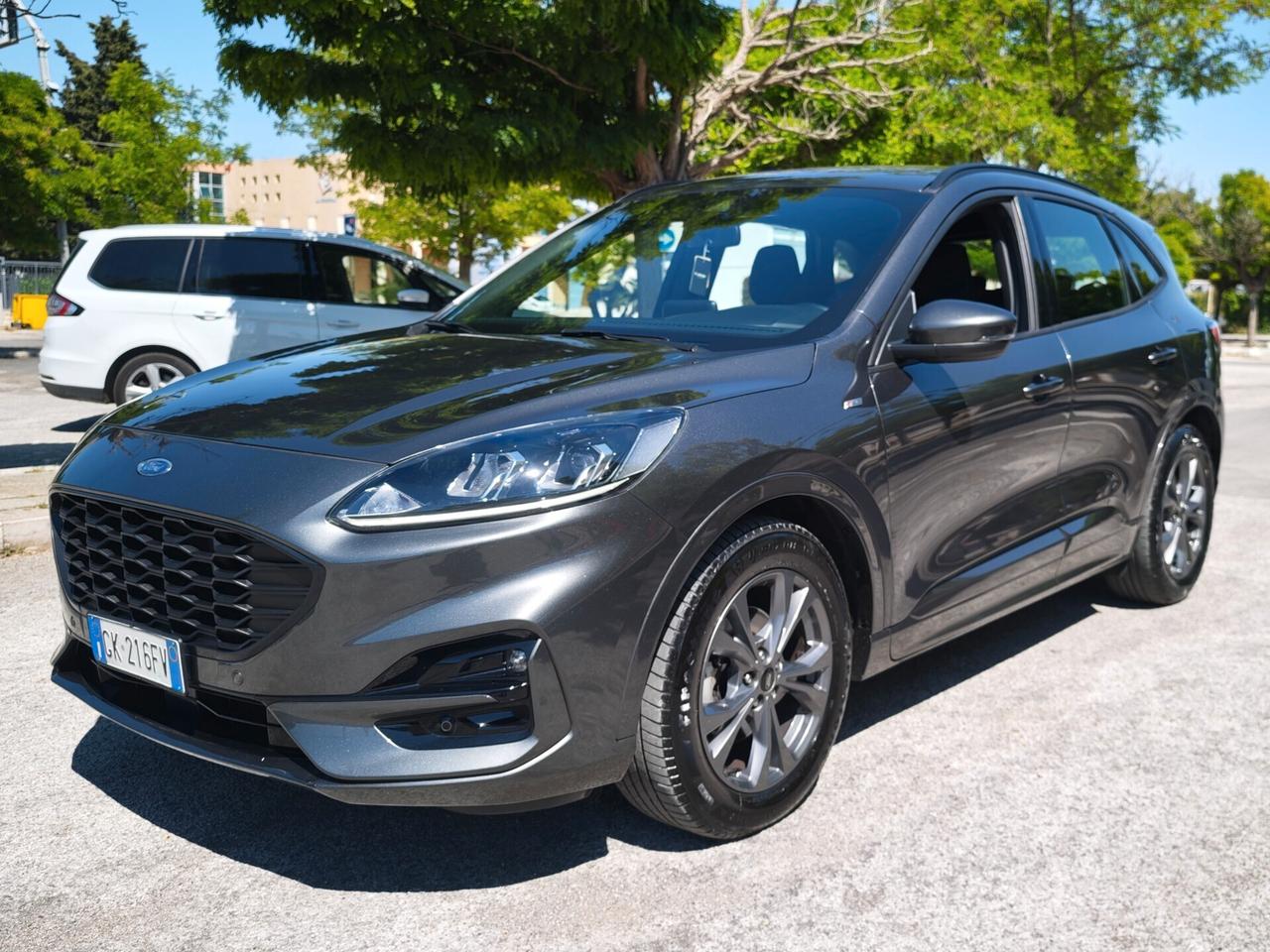 Ford Kuga 1.5 EcoBlue 120 CV aut. 2WD ST-Line