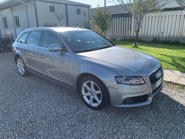 AUDI A4 Avant 2.0 TDI 143CV F.AP. Advanced