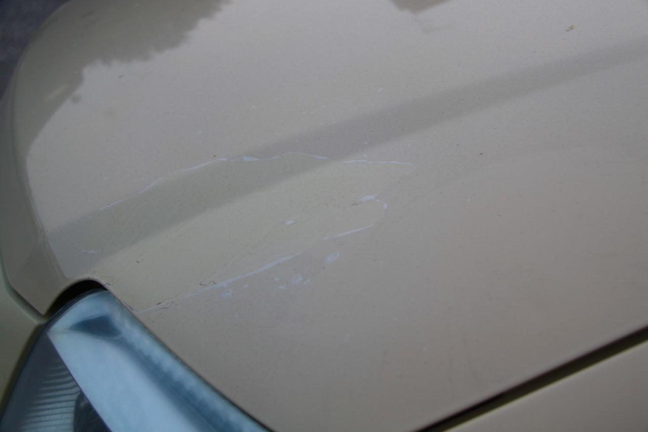 Fiat Panda 1.2 Dynamic Natural Power