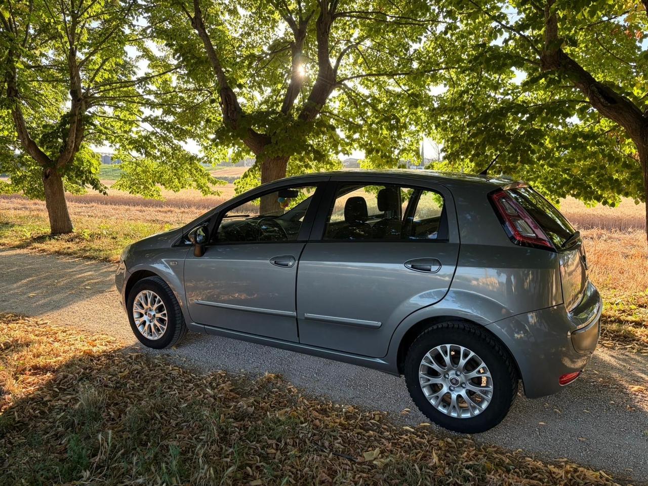 Fiat Punto Evo accesoriata 5 porte
