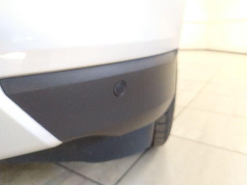 Ford EcoSport 1.5 ecoblue Titanium s&s 100cv my19