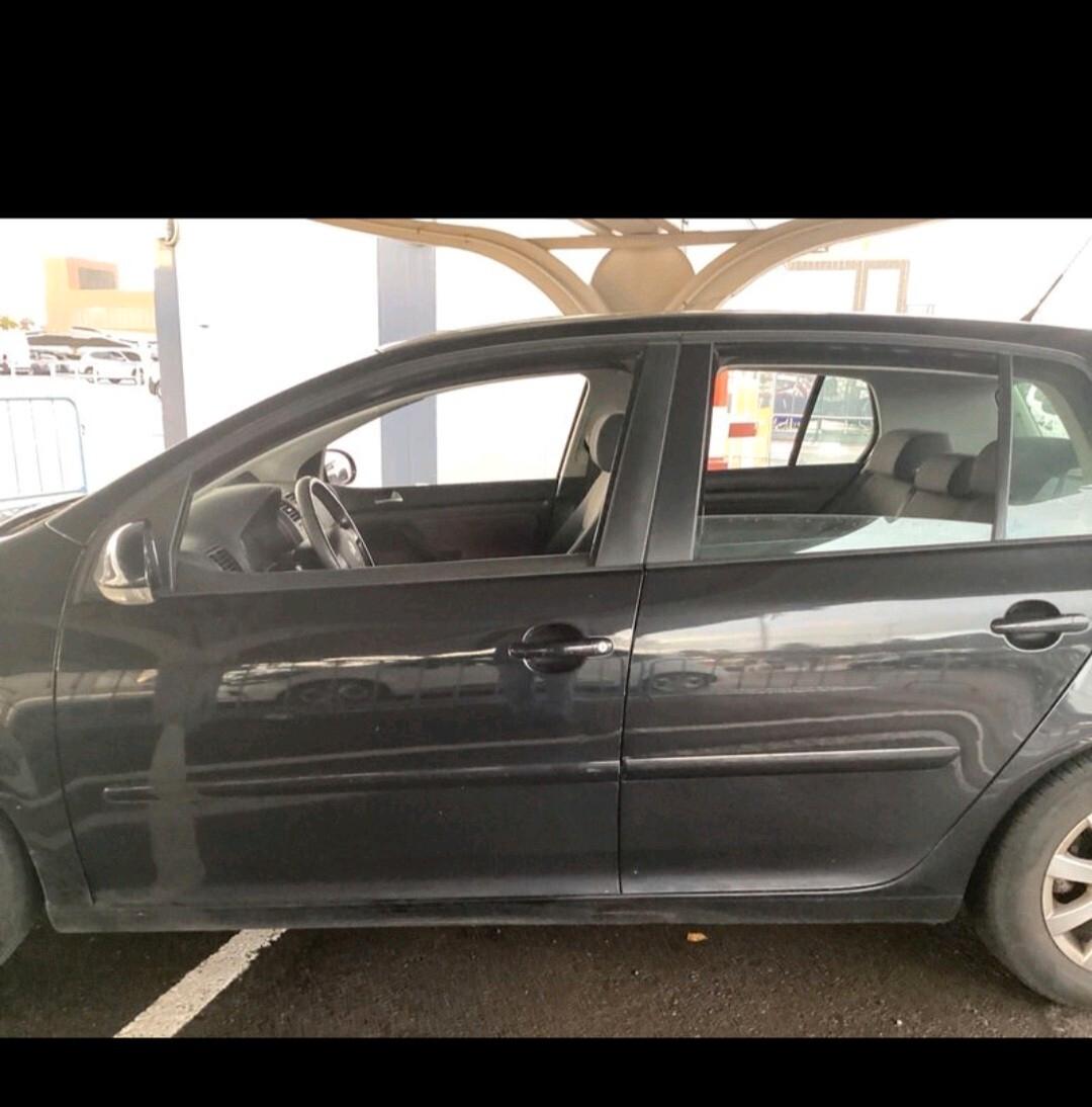 Volkswagen Golf 1.9 TDI DPF 5p 2008