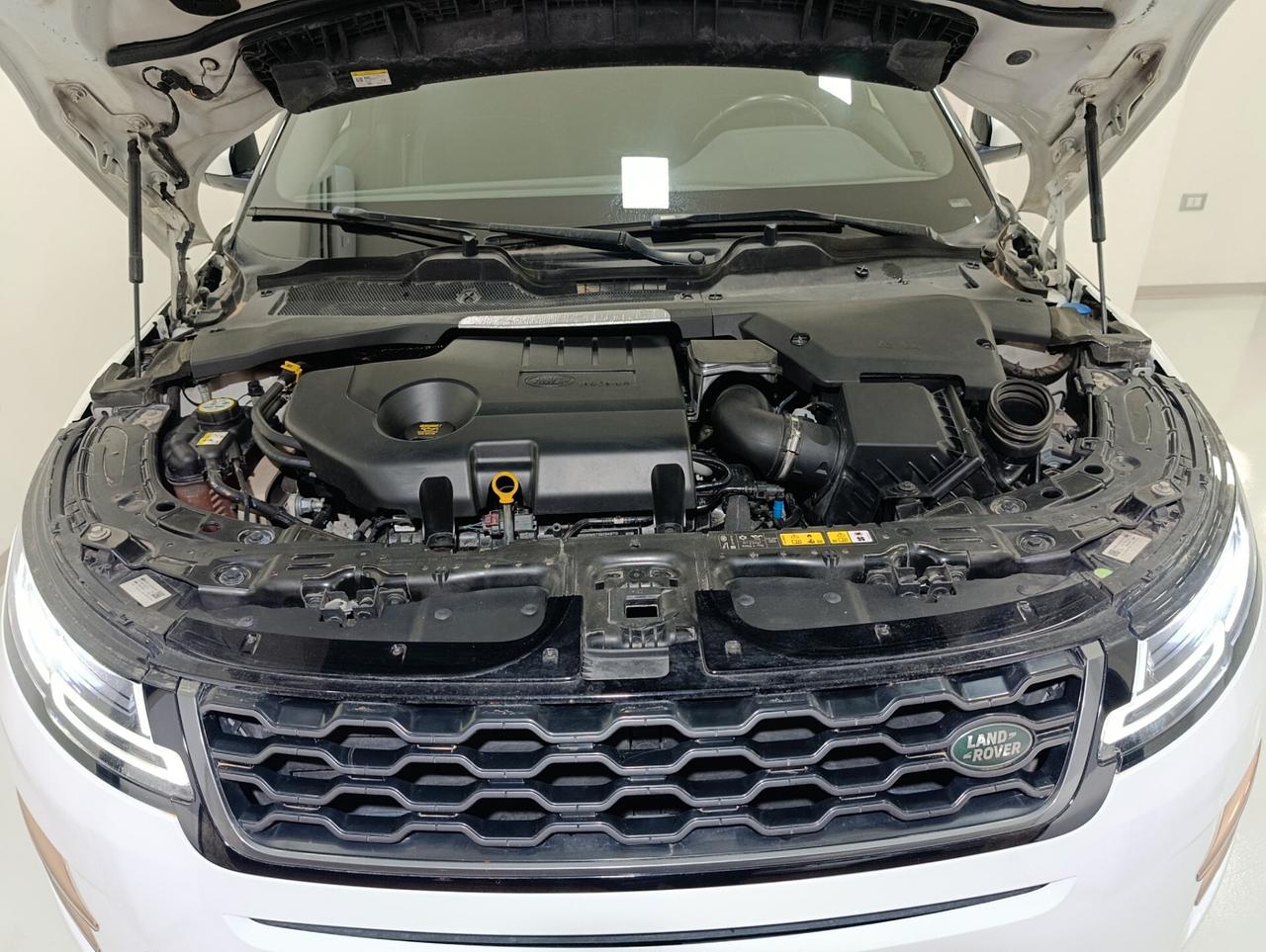 Rover Range Evoque My20 2.0D Ibrido 150 CV AWD Auto R-Dynamic S