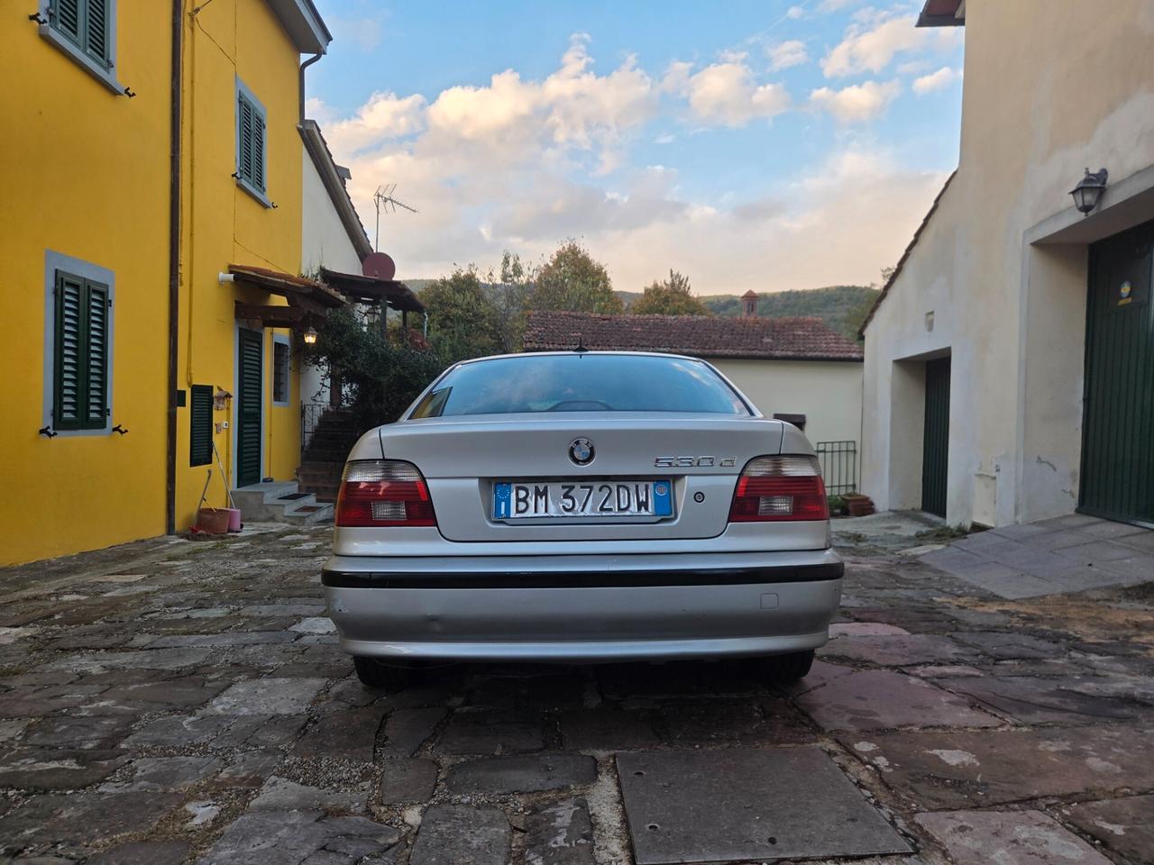 Bmw 530 530d 24V cat Attiva
