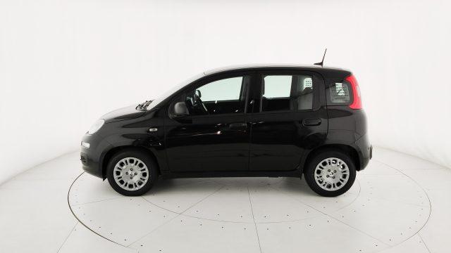 FIAT Pandina 1.0 FireFly 65 CV Hybrid Icon
