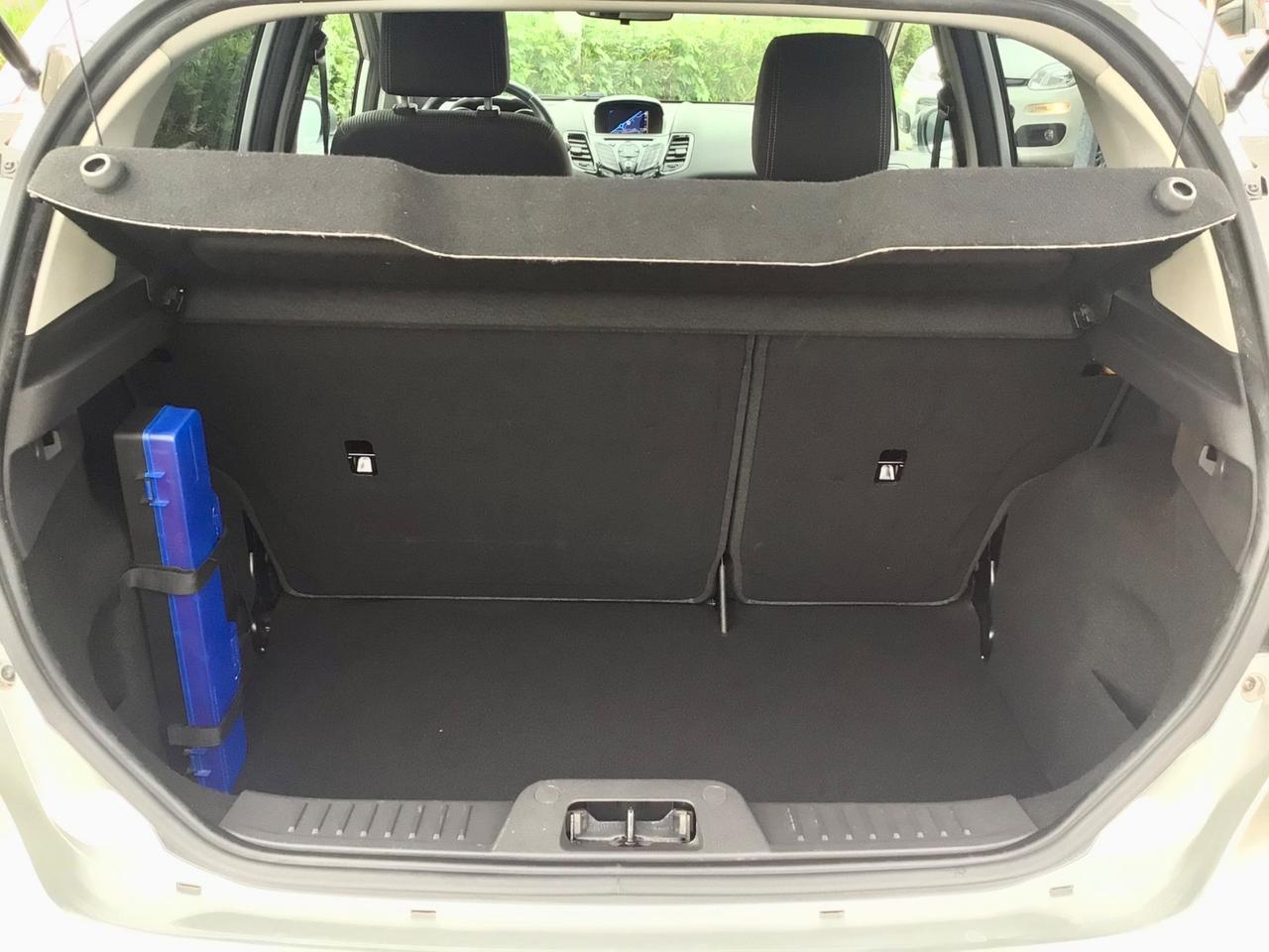 Ford Fiesta 1.5 TDCi 75CV 5 porte Titanium