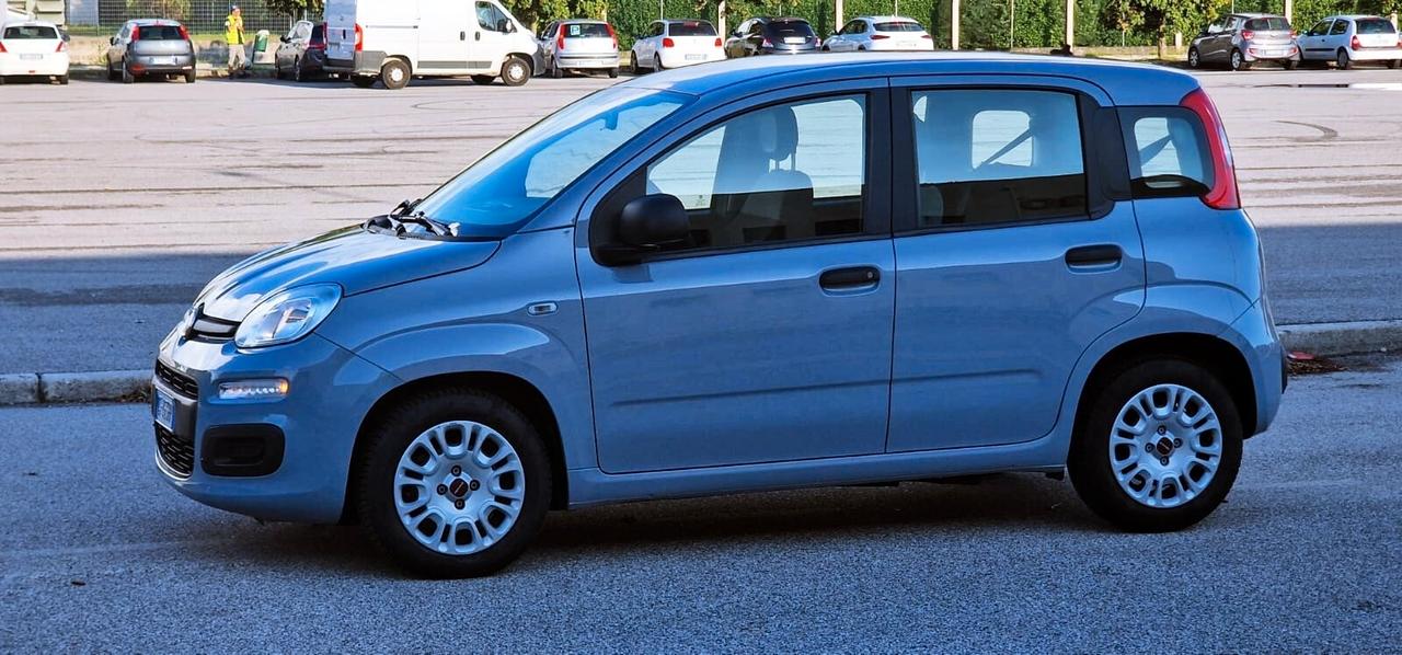 Fiat PANDA 1.0 FireFly 70cv S&S Hybrid