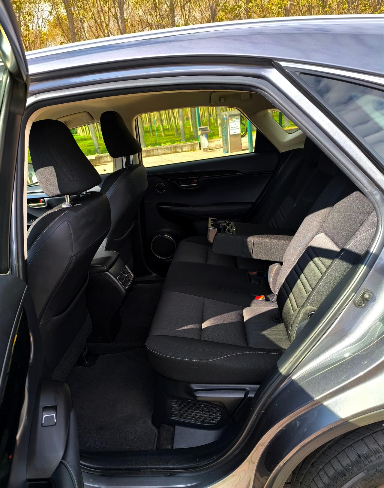 Lexus NX 300h Hybrid Business