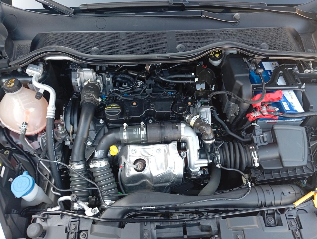 Ford Fiesta 1.5 EcoBlue 5 porte Titanium
