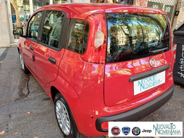FIAT Panda Pandina 1.0 FireFly S&S Hybrid Icon Km0