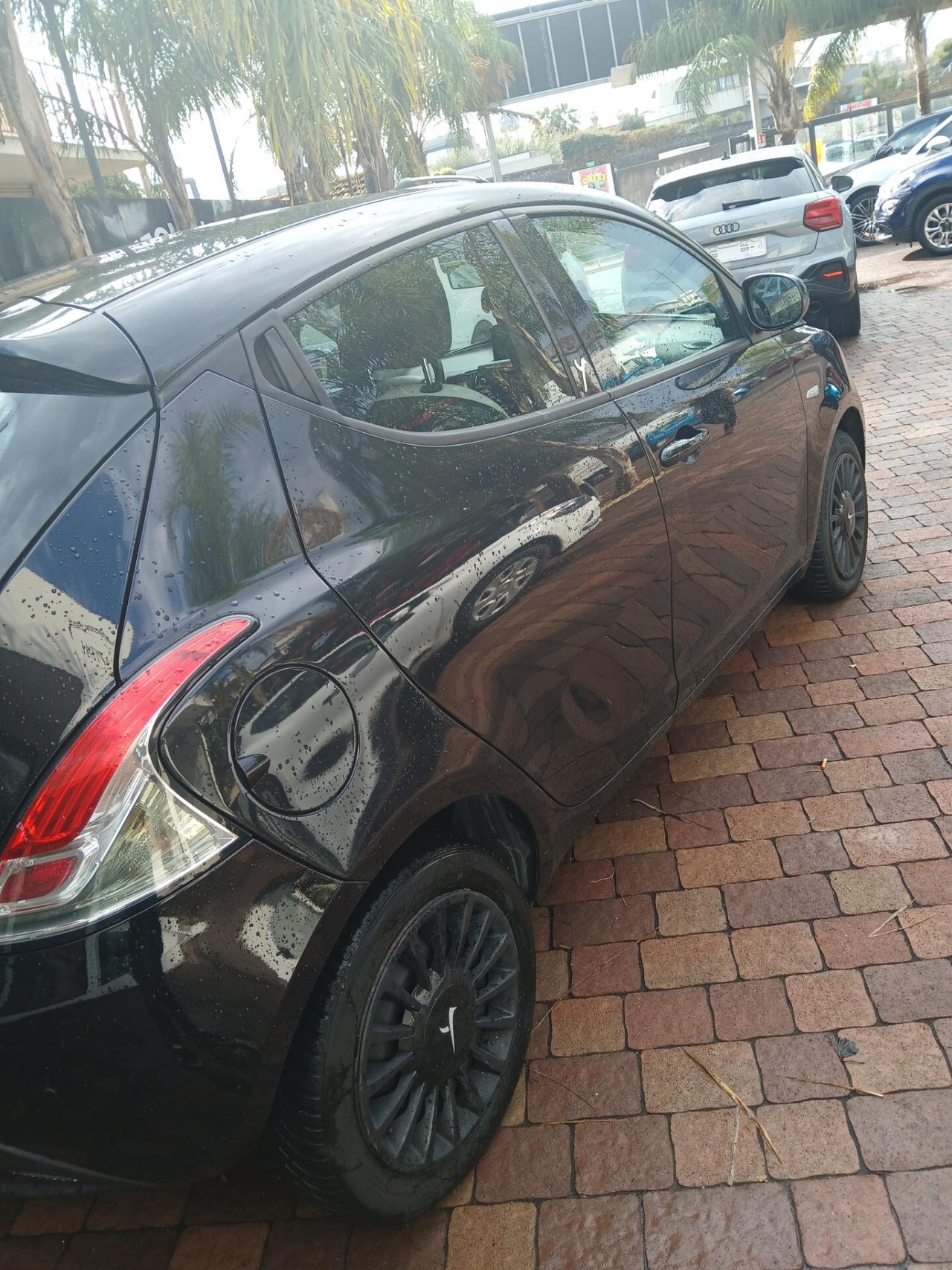 Lancia Ypsilon 1.3 MJT 16V 95 CV 5 porte S&S Elefantino