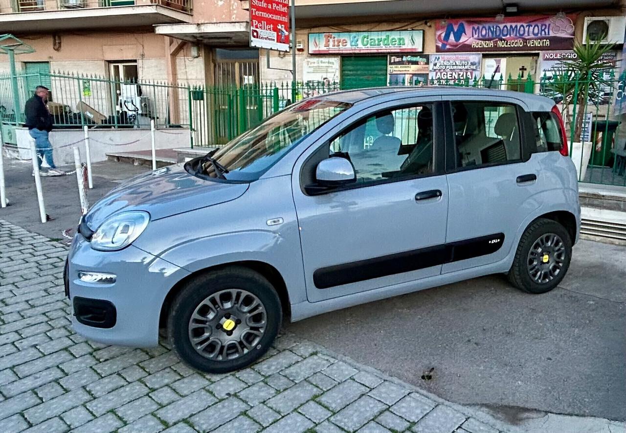 Fiat Panda 1.2 Lounge