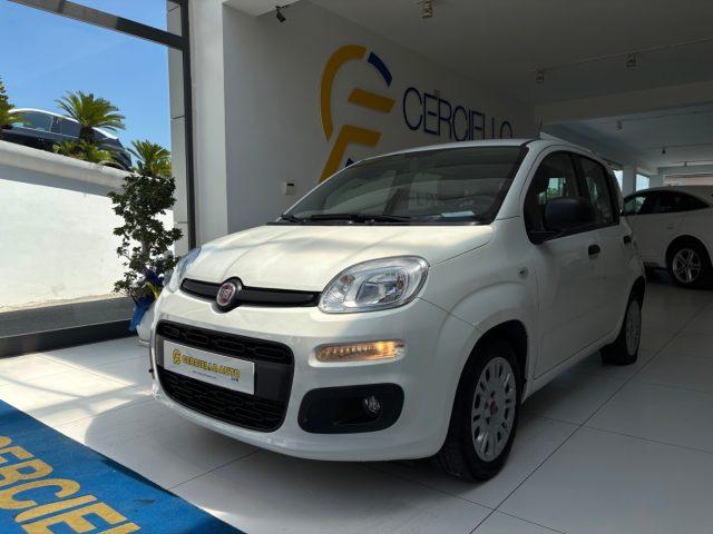 FIAT Panda 1.0 FireFly S&S Hybrid da ?119,00 mensili