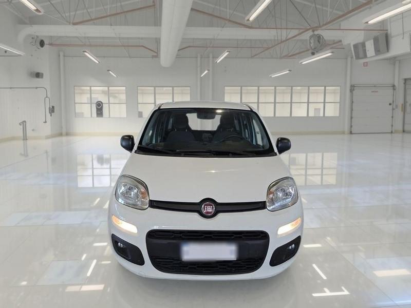 FIAT PANDA 1.2 69 CV SES E6D-TEMP EASY 5 PORTE BERLINA