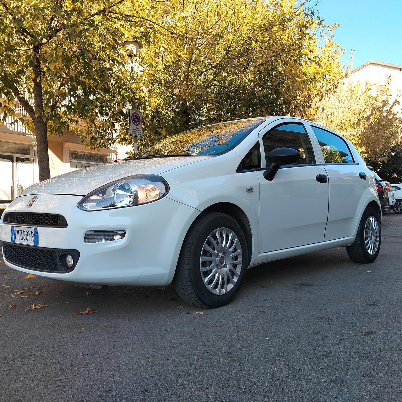 Fiat Punto 1.2 8V 5 porte Street