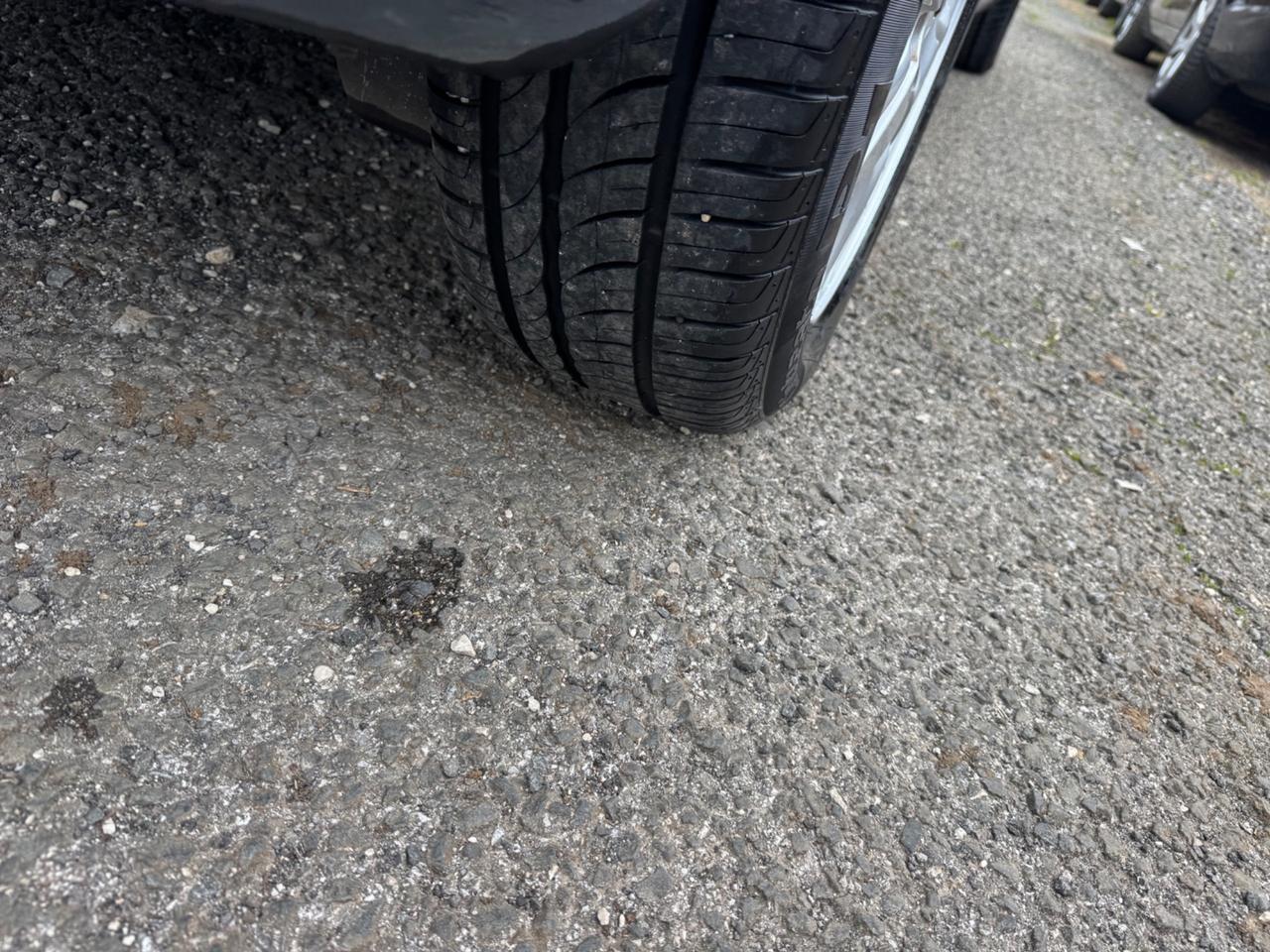 Renault Megane 1.5 dCi 110CV Luxe NEOPATENTATI