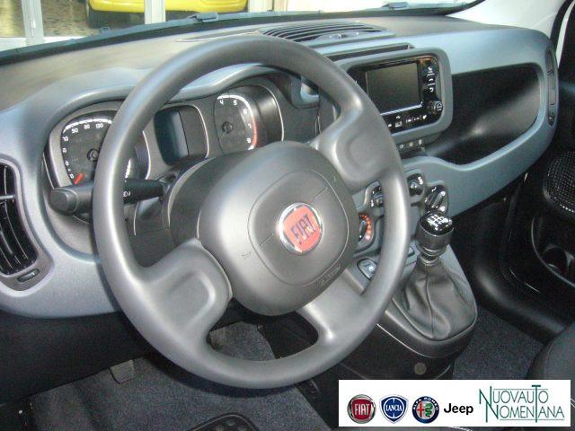 FIAT Panda 1.0 FireFly S&S Hybrid 5°Posto Radio Fiat