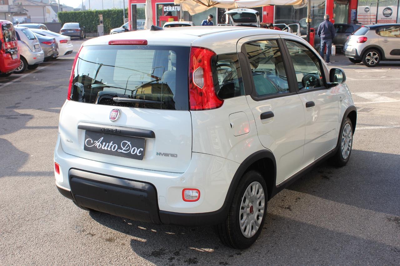 Fiat Panda 1.0 FireFly S&S Hybrid SUPER PREZZO SENZA VINCOLI