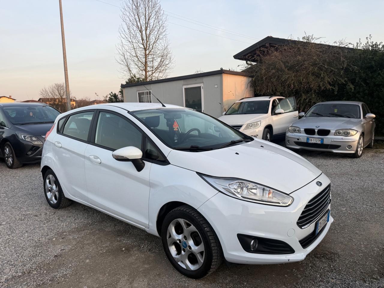 Ford Fiesta 1.0 80CV 5 porte Black & White Edition