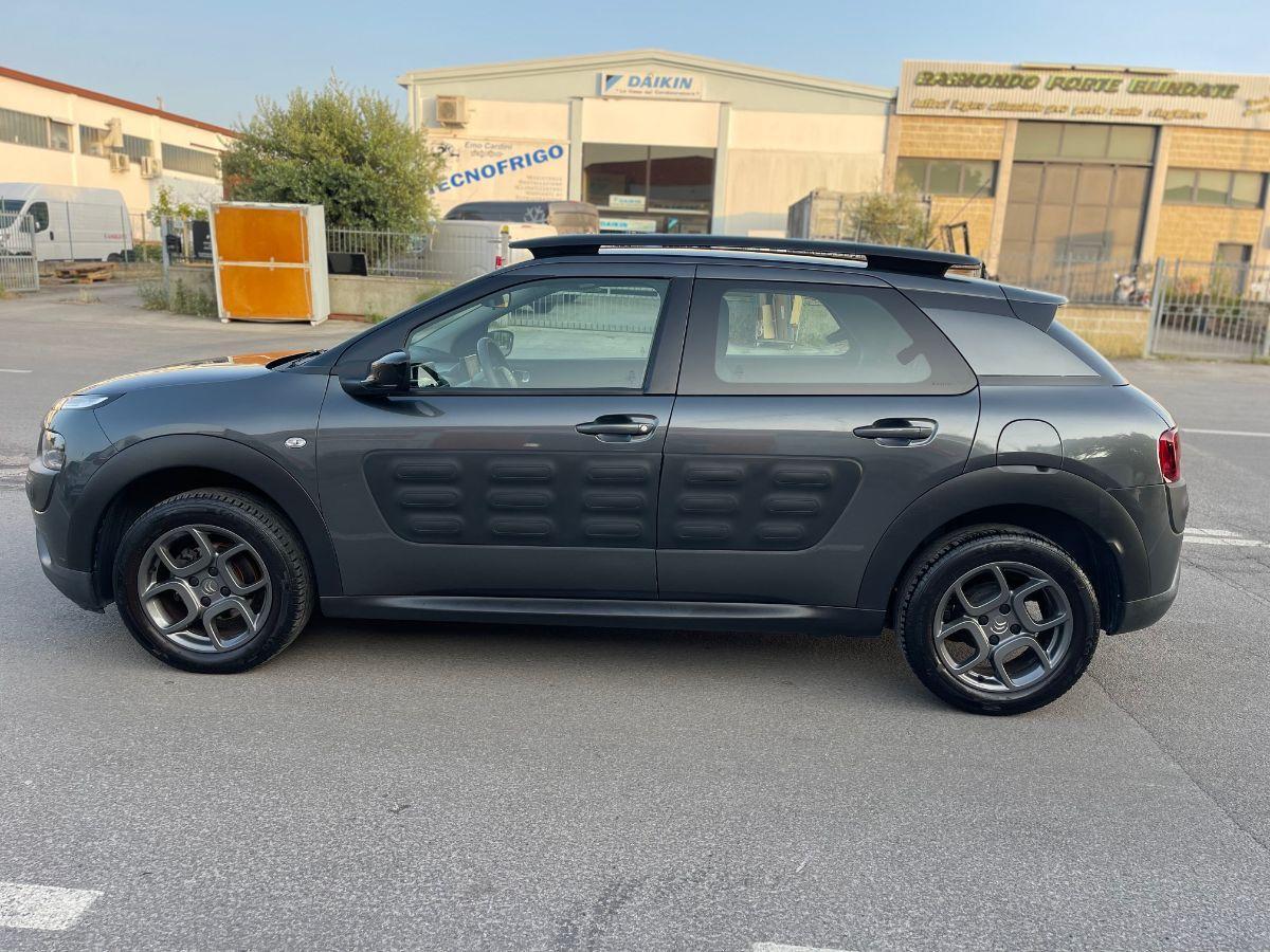 CITROEN - C4 Cactus - BlueHDi 100 Shine