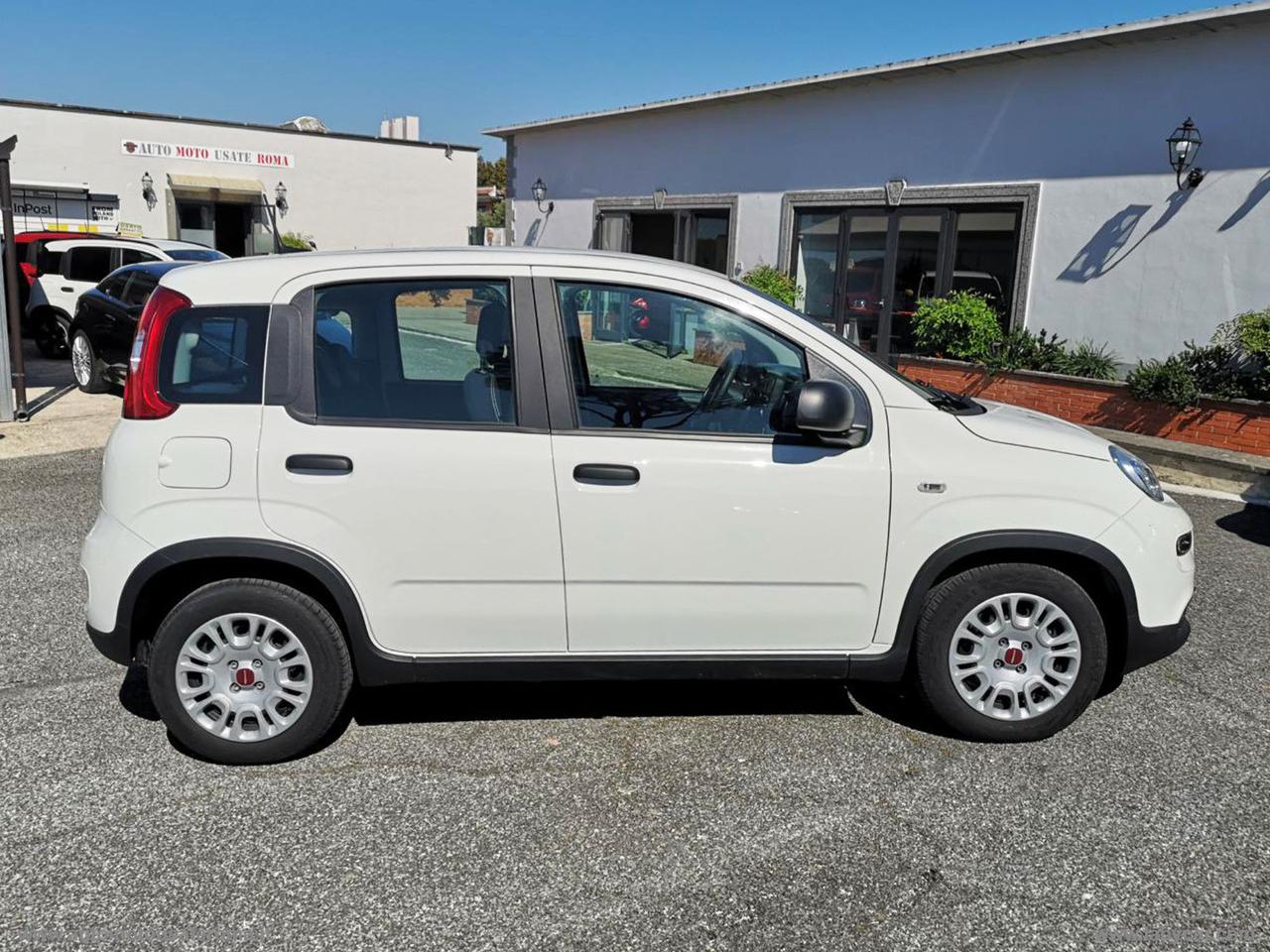 FIAT Panda 1.0 FireFly S&S Hybrid City Life IVA DEDUC. PROMO WEB