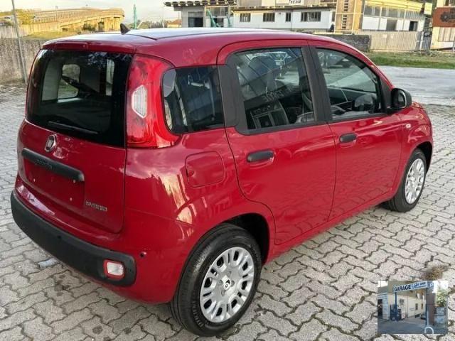 FIAT - Panda - 1.0 FireFly S&S Hybrid Launch Ed.