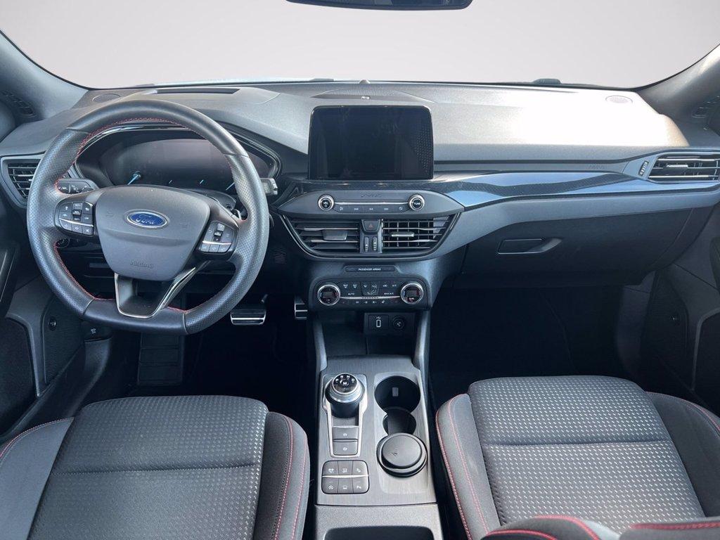 FORD Focus 2.0 EcoBlue 150 CV automatico 5p. ST-Line Co-Pilot del 2019
