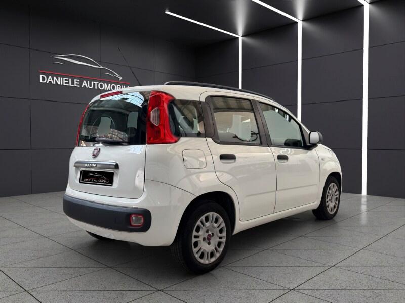 FIAT Panda 3ª serie Panda 1.2 Easy